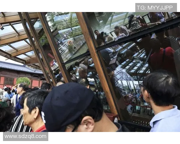 苏维埃与莫路军的对抗与较量：历史的回顾与未来的启示