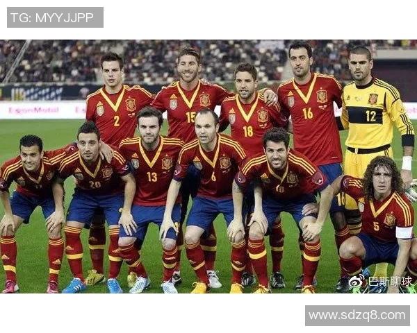 葡萄牙与乌克兰足球对决阵容分析及战术解析